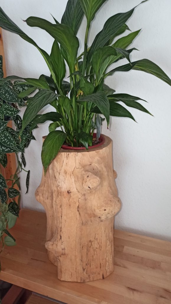 Blumenvase Aus Birkenholz Dictum Handwerksgalerie